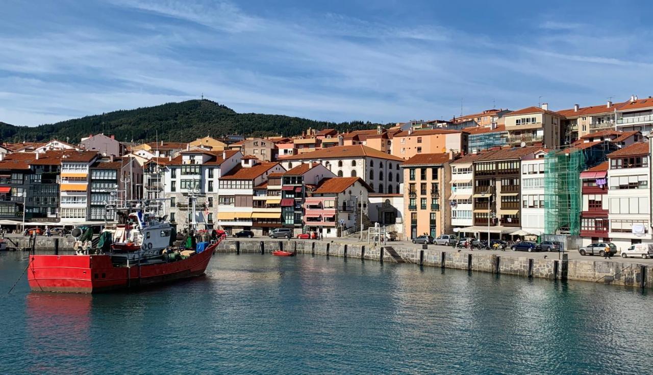 Urrondo Apartment Lekeitio Bagian luar foto